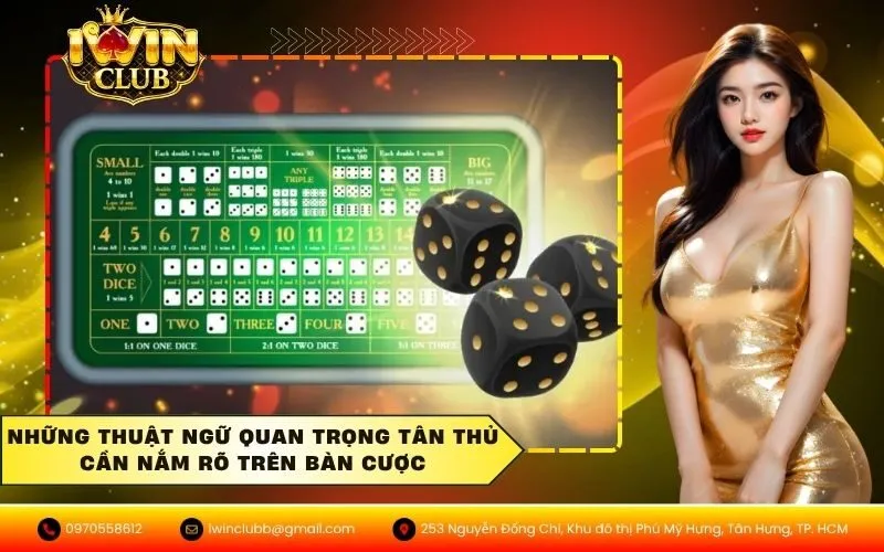 Những thuật ngữ quan trọng tân thủ cần nắm rõ trên bàn cược